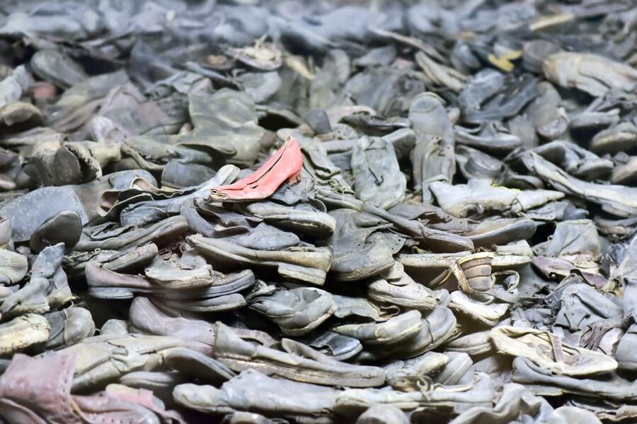 Krakow: Auschwitz Guided Tour with Pickup and Optional Lunch - Key points to know before booking