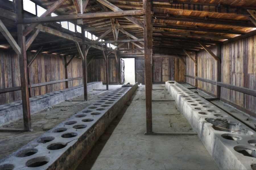 Krakow: Auschwitz Guided Tour with Pickup and Optional Lunch - Language, group pace, and guide quality