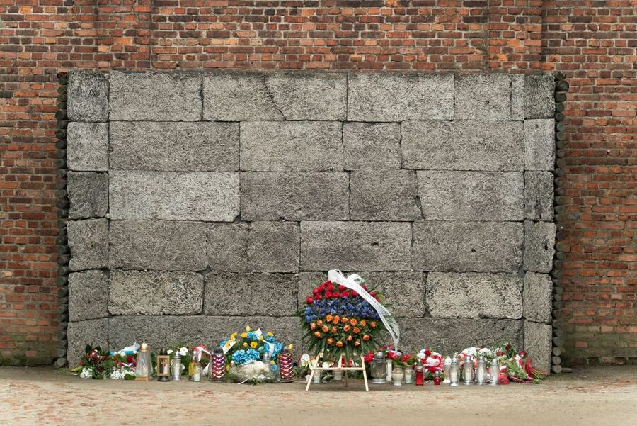 Krakow: Auschwitz Guided Tour with Pickup and Optional Lunch - The gas chamber and personal artifacts
