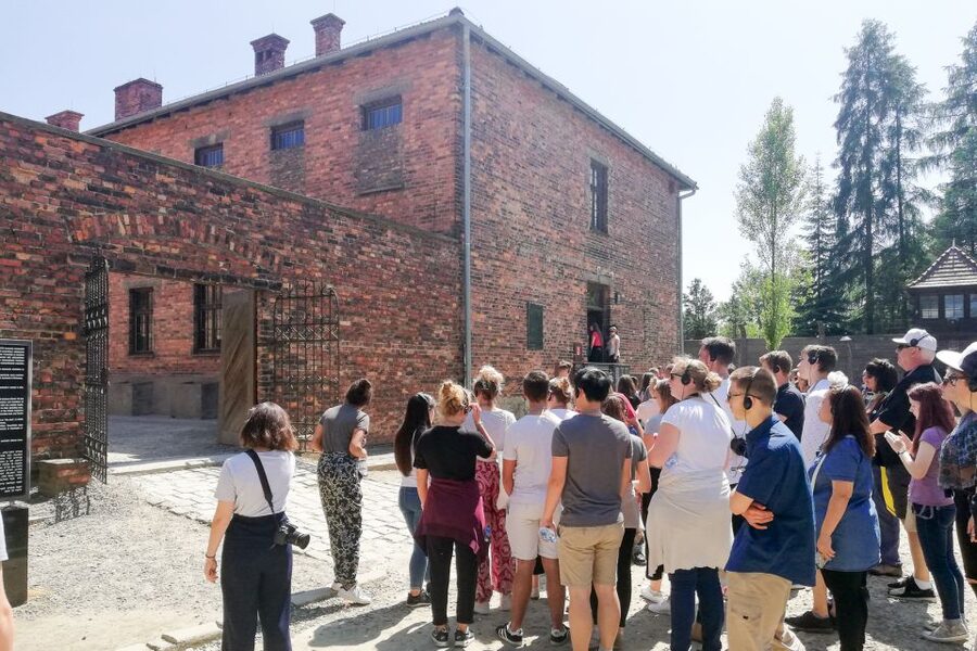 Krakow: Auschwitz Guided Tour with Pickup and Optional Lunch - Birkenau and the railway entrance