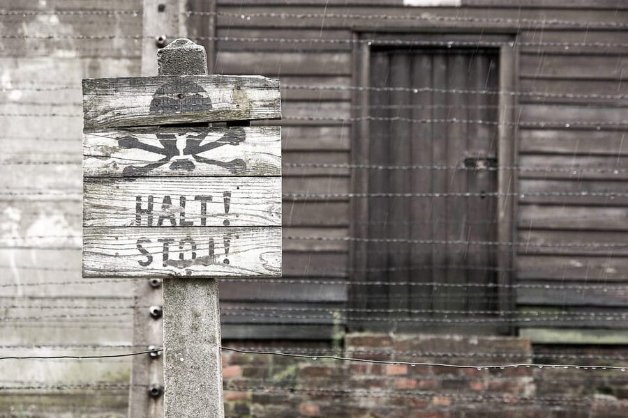 Krakow: Auschwitz & Wieliczka Salt Mine Guided Day Tour - Who should choose this combined tour