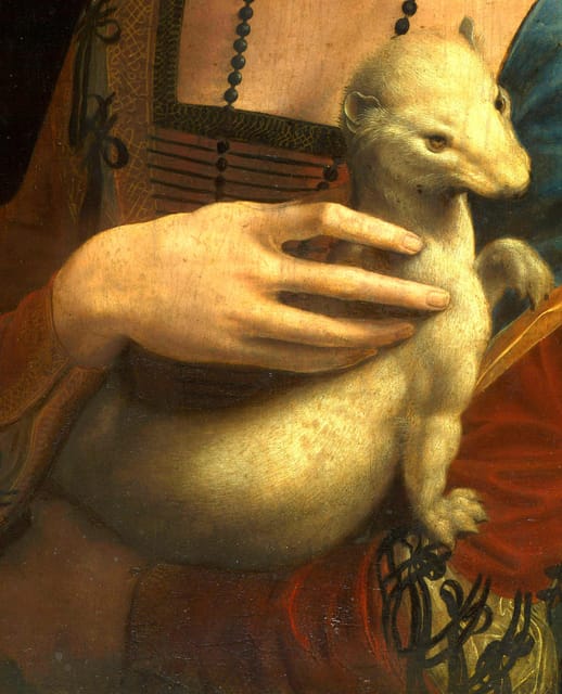Krakow: Czartoryski Museum Guided Tour in English - Why Leonardo’s Lady with an Ermine deserves the attention