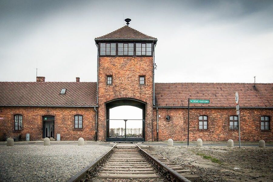 Krakow: Full-Day Auschwitz-Birkenau & Salt Mine Guided Tour - Who should book this Krakow day trip?