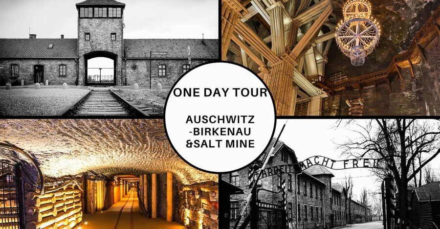 Krakow: Full-Day Auschwitz-Birkenau & Salt Mine Guided Tour - Walking through Auschwitz and Birkenau
