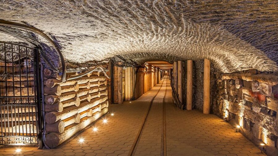 Krakow: Full-Day Auschwitz-Birkenau & Salt Mine Guided Tour - Guides, group size, and communication
