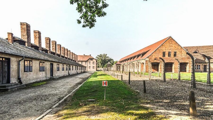 Krakow: Full-Day Auschwitz-Birkenau & Salt Mine Guided Tour - How to prepare for the long day