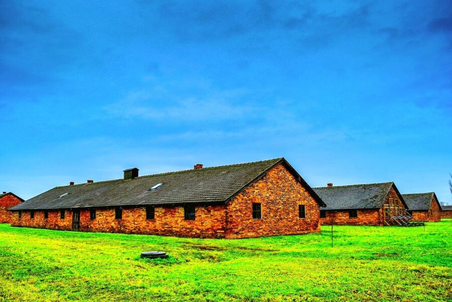 Krakow: Guided Auschwitz Birkenau Tour - Why the guided format matters at Auschwitz