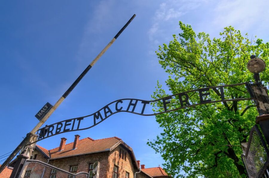 Krakow: Guided Auschwitz Birkenau Tour - Practical advice for a difficult day
