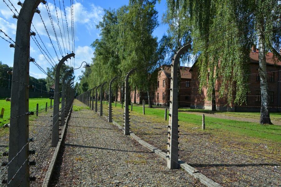 Krakow: Guided Auschwitz Birkenau Tour - Auschwitz I: prison blocks, exhibitions, and the death wall