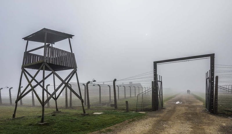 Krakow: Last Minute Auschwitz-Birkenau Guided Tour - The guide makes the difference