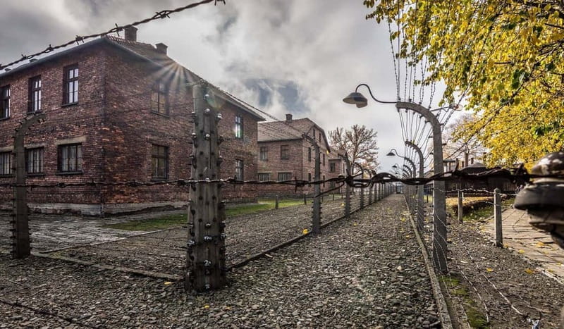 Krakow: Last Minute Auschwitz-Birkenau Guided Tour - What the $80 price really covers