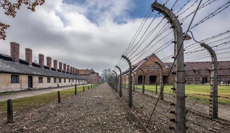 Krakow: Last Minute Auschwitz-Birkenau Guided Tour - Timing, bags, and practical limits
