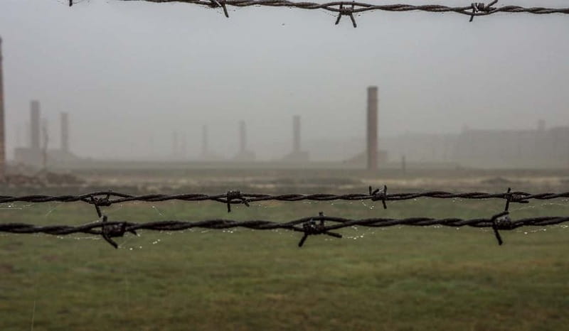 Krakow: Last Minute Auschwitz-Birkenau Guided Tour - Who will get the most from this visit