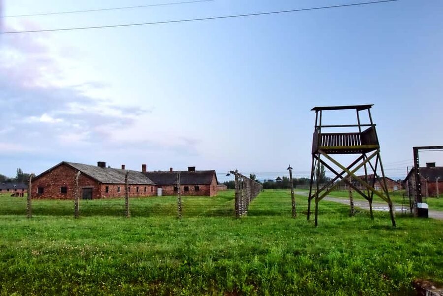 Krakow: Last Minute Auschwitz-Birkenau Guided Tour - Meeting your van in central Krakow
