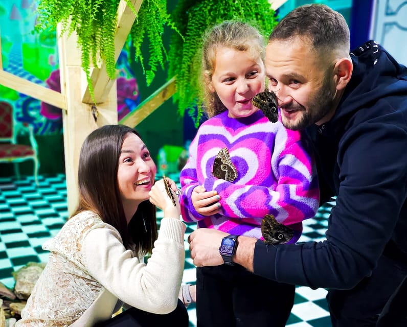 Krakow: Museum of Living Butterflies 2+1 - A self-guided visit with room for photographs