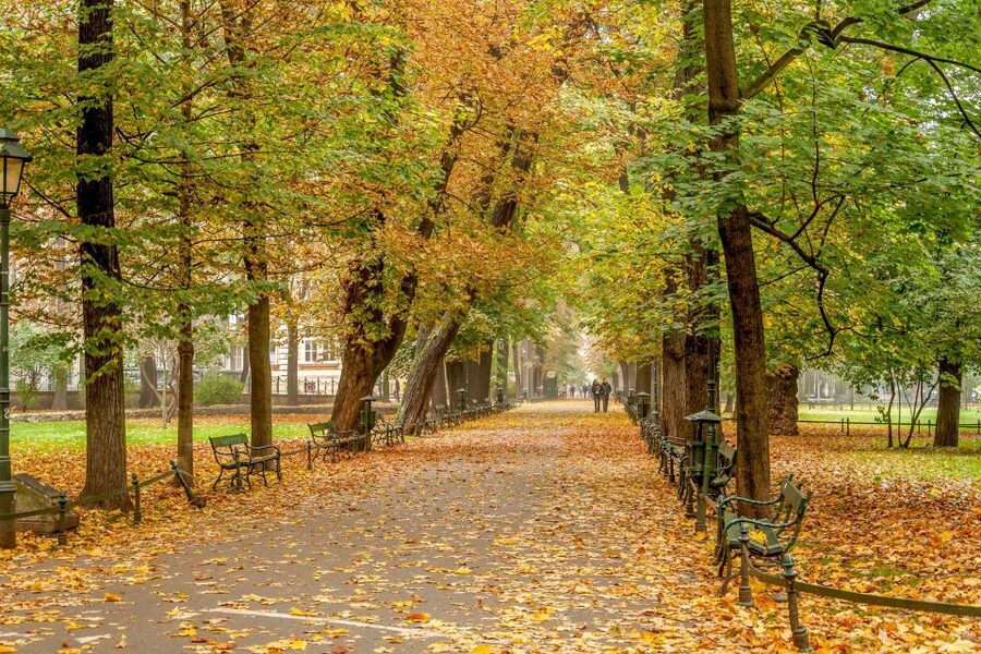 Krakow: Old Town Guided Walking Tour - Pace, comfort, and group size
