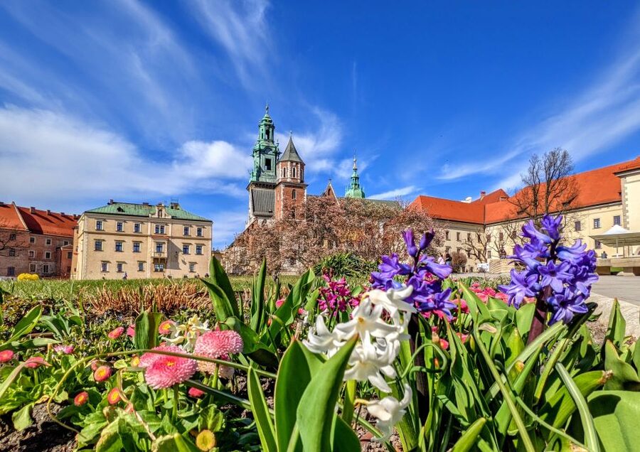 Kraków: Old Town & Wawel Castle Walking Tour in English - Is $26 a good value?