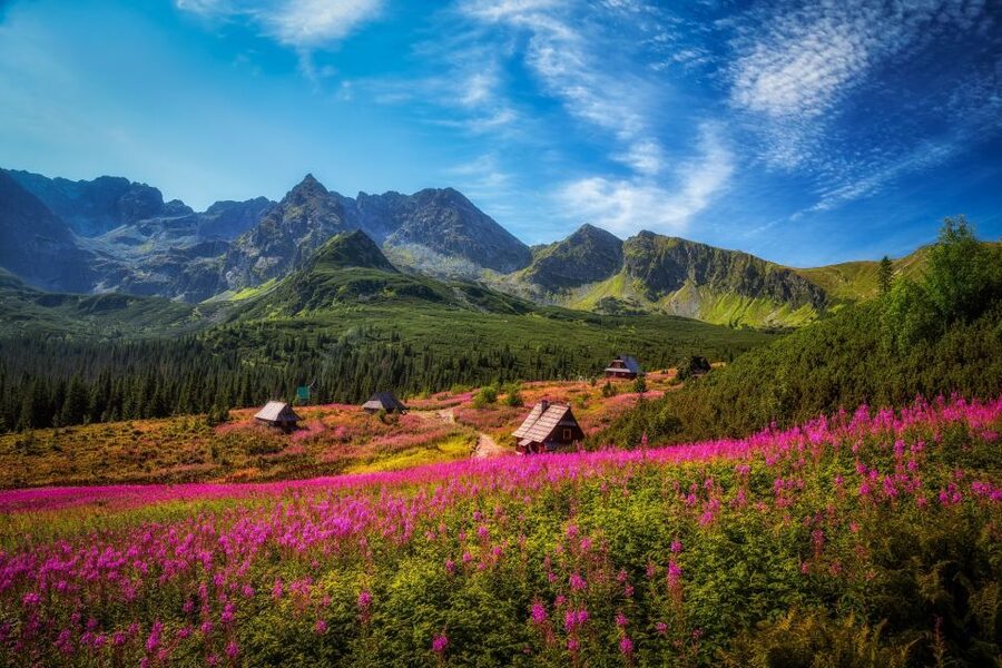 Krakow: Tatra Mountains and Zakopane Full-Day Private Tour - Gubalowka Hill and the Tatra panorama