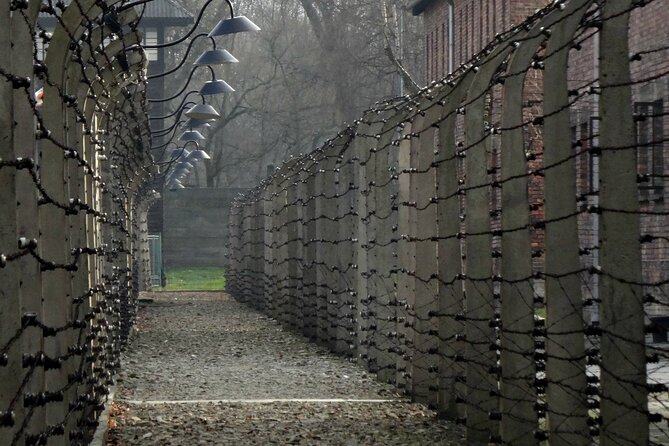 Krakow to Auschwitz Birkenau Guided Tour with Ticket and Transfer - The long road from Krakow to Auschwitz