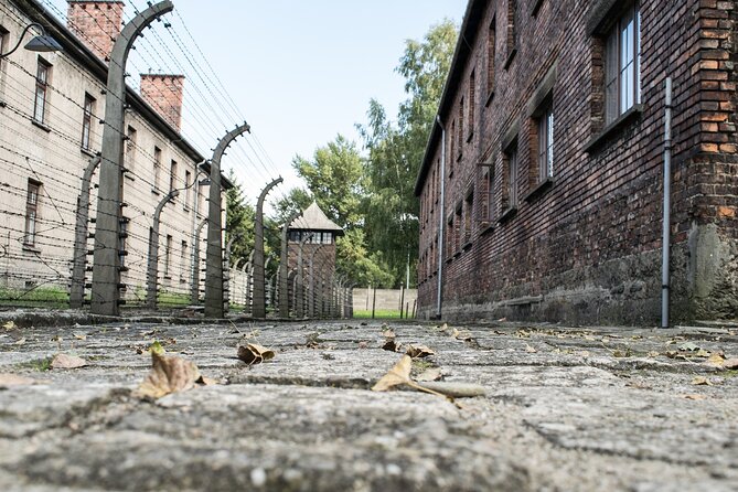 Krakow to Auschwitz Birkenau Guided Tour with Ticket and Transfer - Why the departure time matters so much