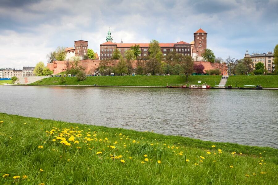 Krakow: Wawel Castle, Cathedral, Rynek Underground & Lunch - Wawel Cathedral, the bell, and the crypts