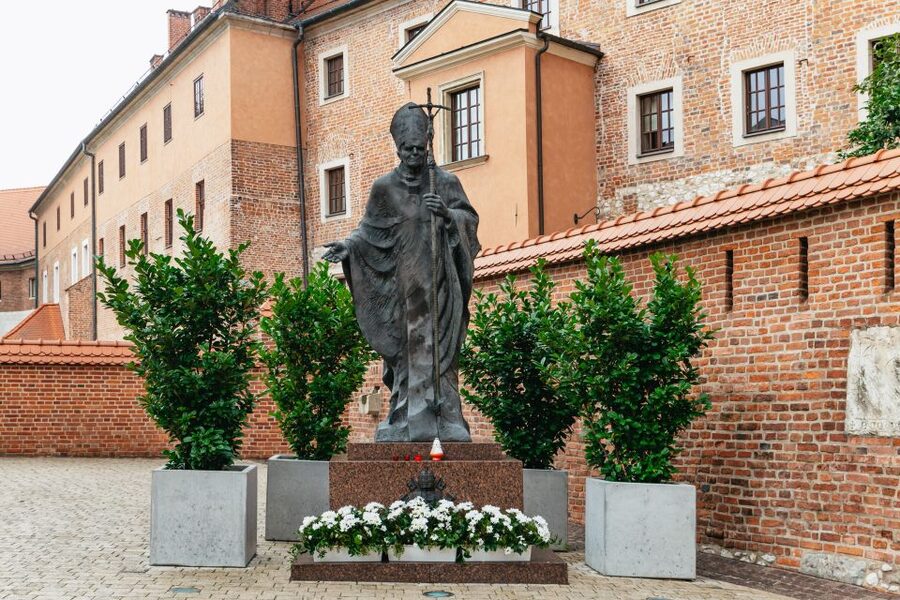 Krakow: Wawel Royal Hill with Optional Castle and Cathedral - Who should book this Wawel walk?