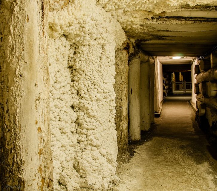 Krakow: Wieliczka Salt Mine Skip-the-Line Live Guided Tour - Is $33 good value?