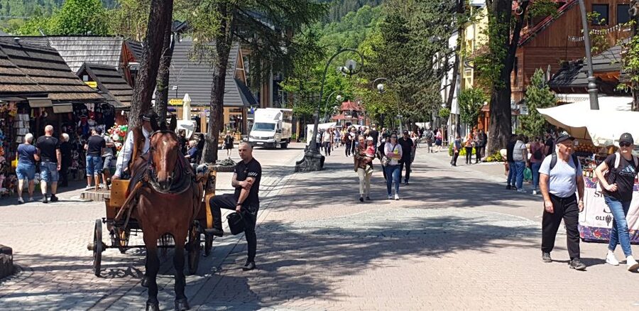 Krakow: Zakopane, Funicular, Cheese, and Highland Day Trip - The van ride, timing, and guide quality
