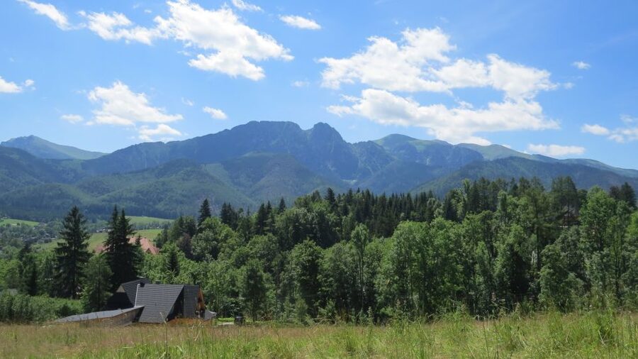 Krakow: Zakopane, Thermal Baths, Cable Car, Vodka, Oscypek - Oscypek, smoked cheese, and flavored vodka