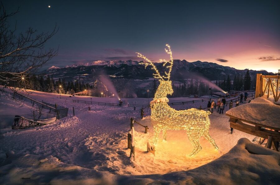 Krakow: Zakopane, Thermal Springs, Cable Car, Local Tasting - Who should book this experience?