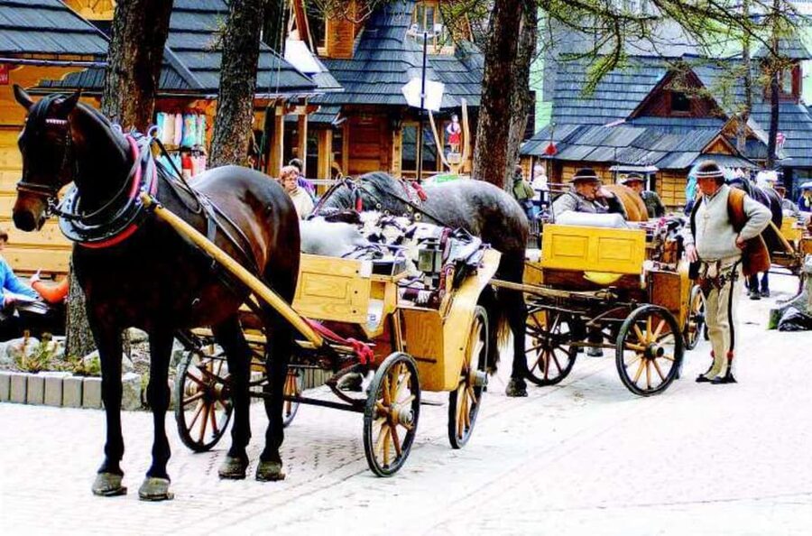 KRAKOW ZAKOPANE TOUR CABLE CAR THERMAL BATHS & HOTEL PICKUP - Is the $118 price fair?