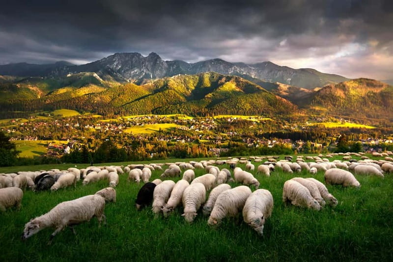 Krakow: Zakopane Trip with Thermal Pools & Hotel Pick-up - Key points at a glance