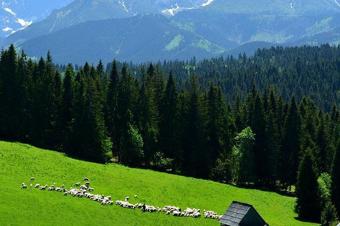 Krakow: Zakopane with Thermal Baths, Cable Car & Hotel Pickup - Oscypek, smoke, sheep’s milk, and local vodka