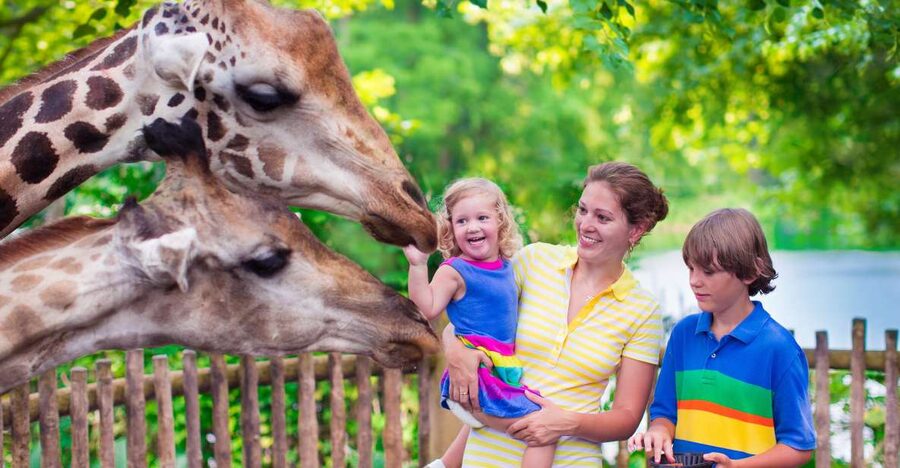 Krakow: Zoo Tour with Private Transport and Tickets - Why the forest setting matters