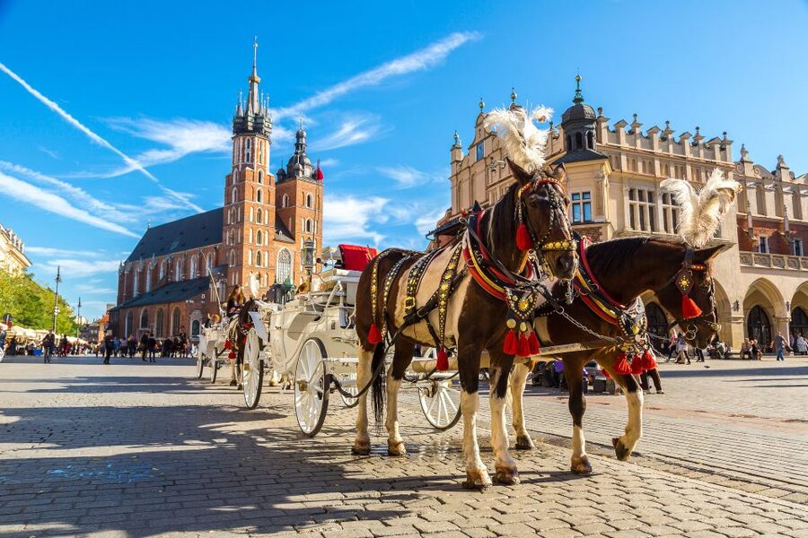 Krakow: Zoo Tour with Private Transport and Tickets - Who will enjoy this Krakow Zoo visit?