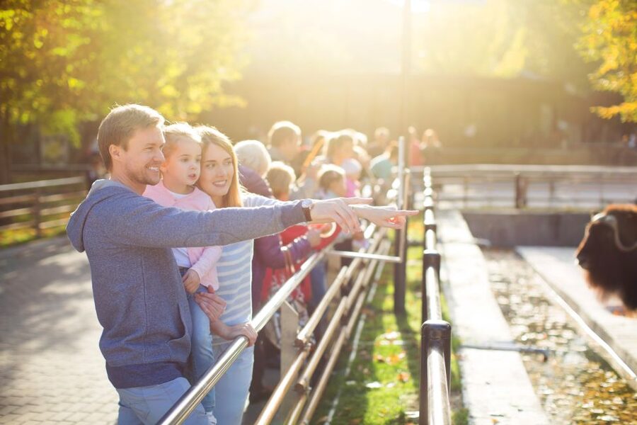 Krakow: Zoo Tour with Private Transport and Tickets - Small details that make the day easier