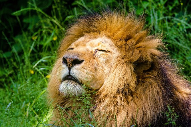 Krakow: Zoo with Hotel Transfer - The 8:30 hotel pickup