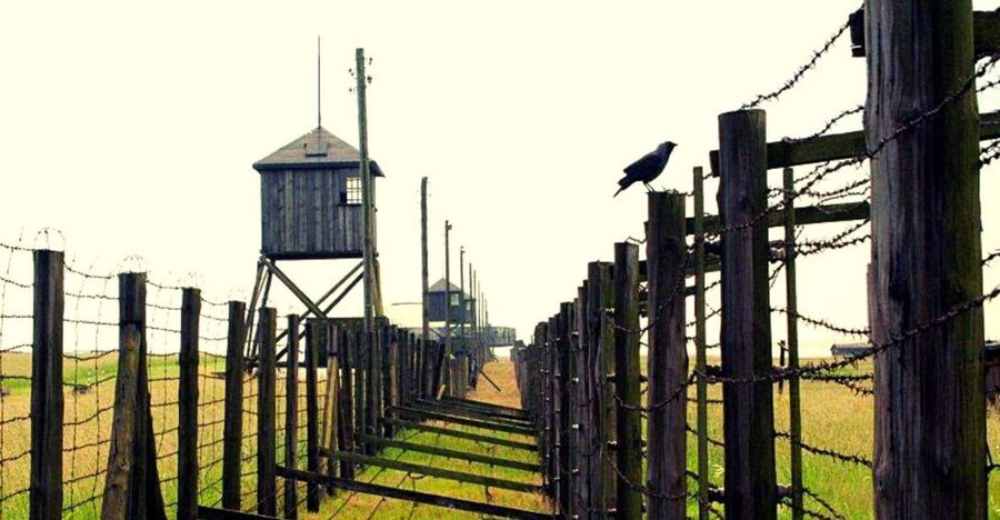 Lublin & Majdanek Small-Group Tour from Warsaw with Lunch - Key points at a glance