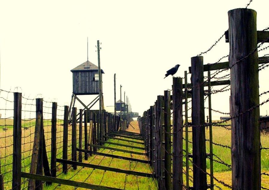 Lublin & Majdanek Small-Group Tour from Warsaw with Lunch - A quick Polish lunch with pierogi