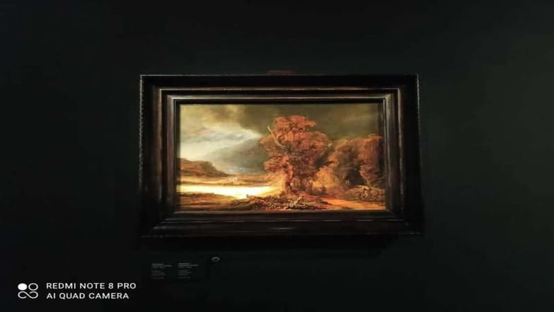 Museo Czartorisky : Visita in Lingua Italiana salta fila… - Why Lady with an Ermine deserves your time