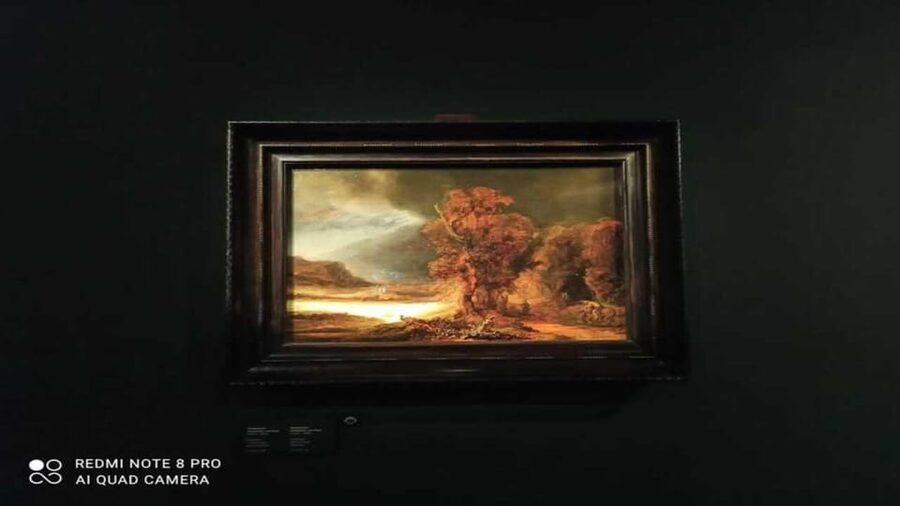 Museo Czartoryski: Visita in italiano e salta la fila - Why Leonardo’s portrait is the reason to go