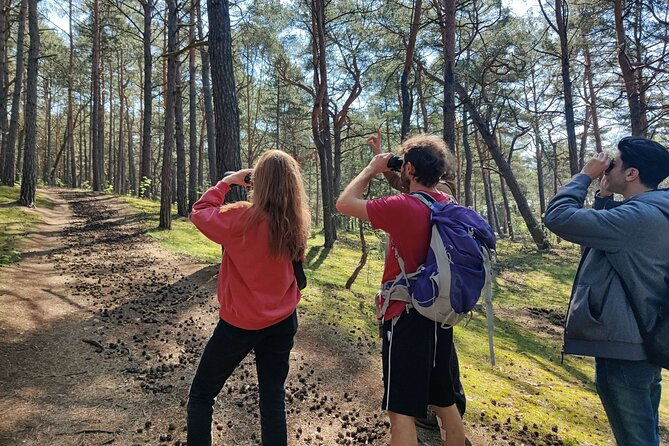 Nature Walk and Wildlife Tour in Sobieszewo Island - Key points to know before booking