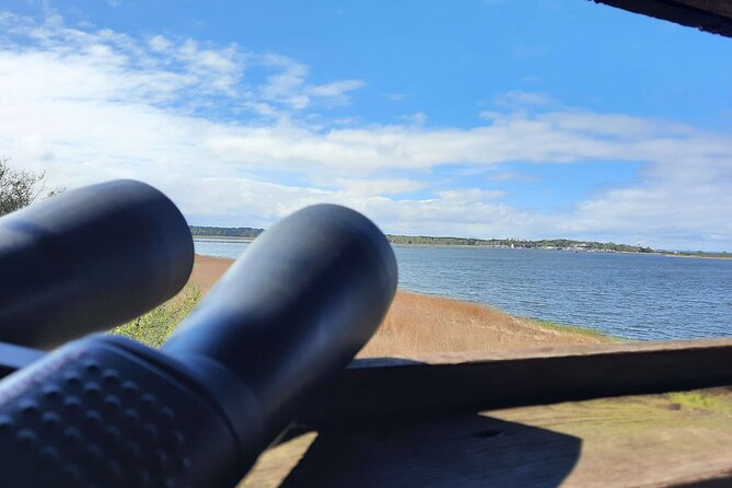 Nature Walk and Wildlife Tour in Sobieszewo Island - Finishing near the reserve entrance