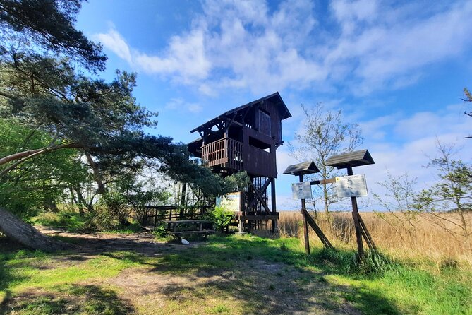Nature Walk and Wildlife Tour in Sobieszewo Island - What the $67.43 price buys you