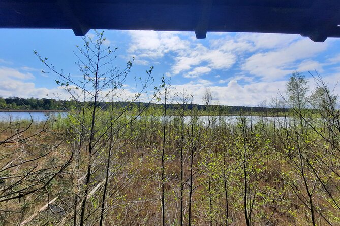 Nature Walk and Wildlife Tour in Sobieszewo Island - Who will get the most from this walk