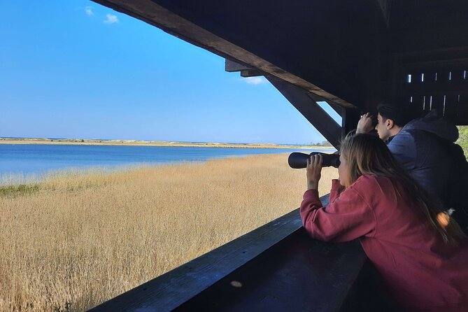 Nature Walk and Wildlife Tour in Sobieszewo Island - The forest path to Lake Karaś
