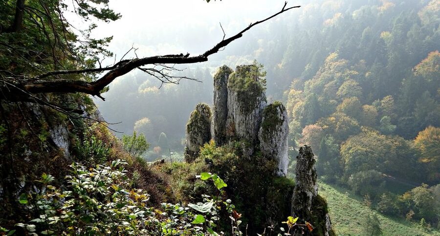 Ojcow National Park: Full-Day Trip from Krakow - Booking, cancellation, and practical value