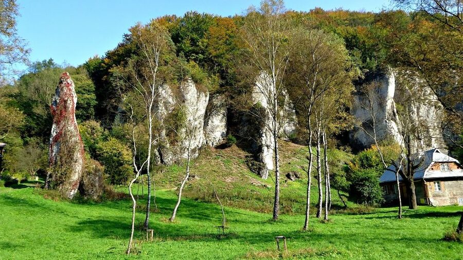 Ojcow National Park: Full-Day Trip from Krakow - Gothic ruins in the middle of Ojcow National Park