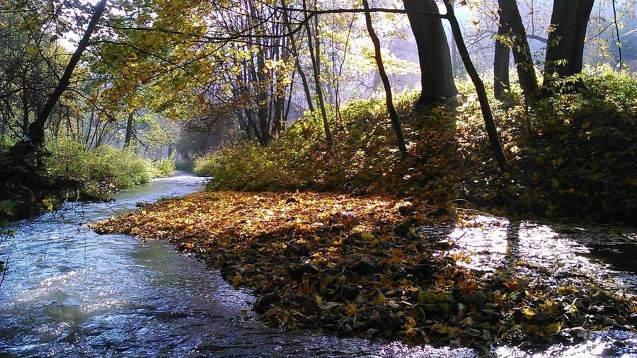 Ojcow National Park: Full-Day Trip from Krakow - Pieskowa Skala Castle and Poland’s Renaissance style