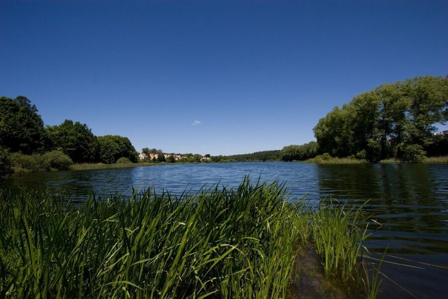 Olsztyn Old Town Highlights Private Walking Tour - Languages, access, and planning the walk